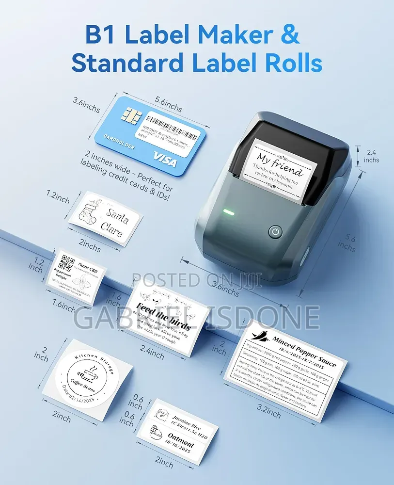 NIIMBOT B1 Label Printer, a Portable, Inkless