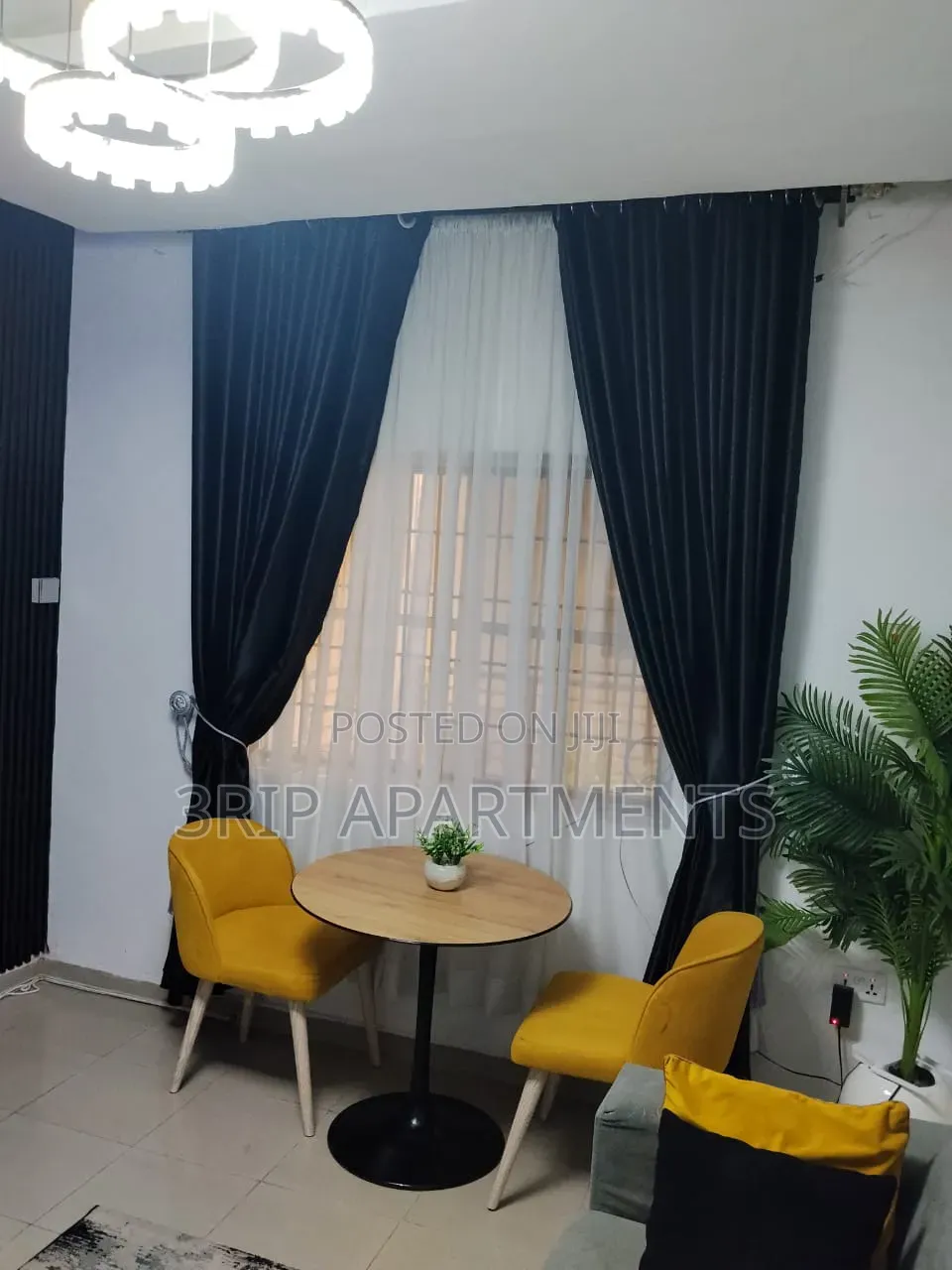 1 Bedroom Apartment