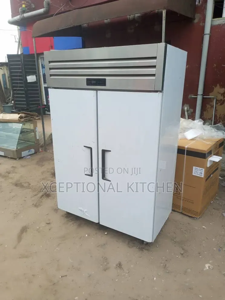 Industrial 2 Doors Freezer