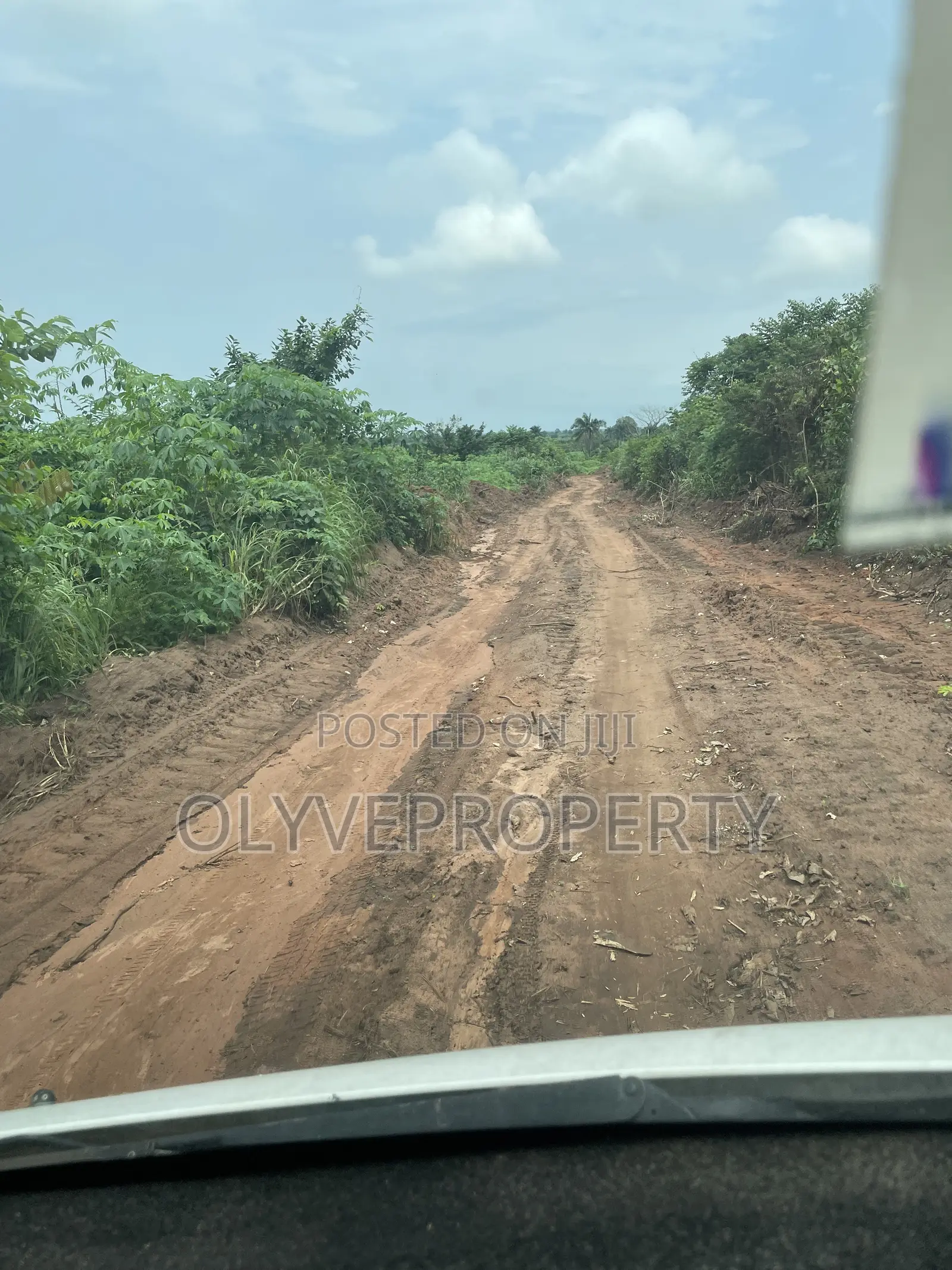 Acres of Farmland for Sale at Onicha  Olona,Delta State