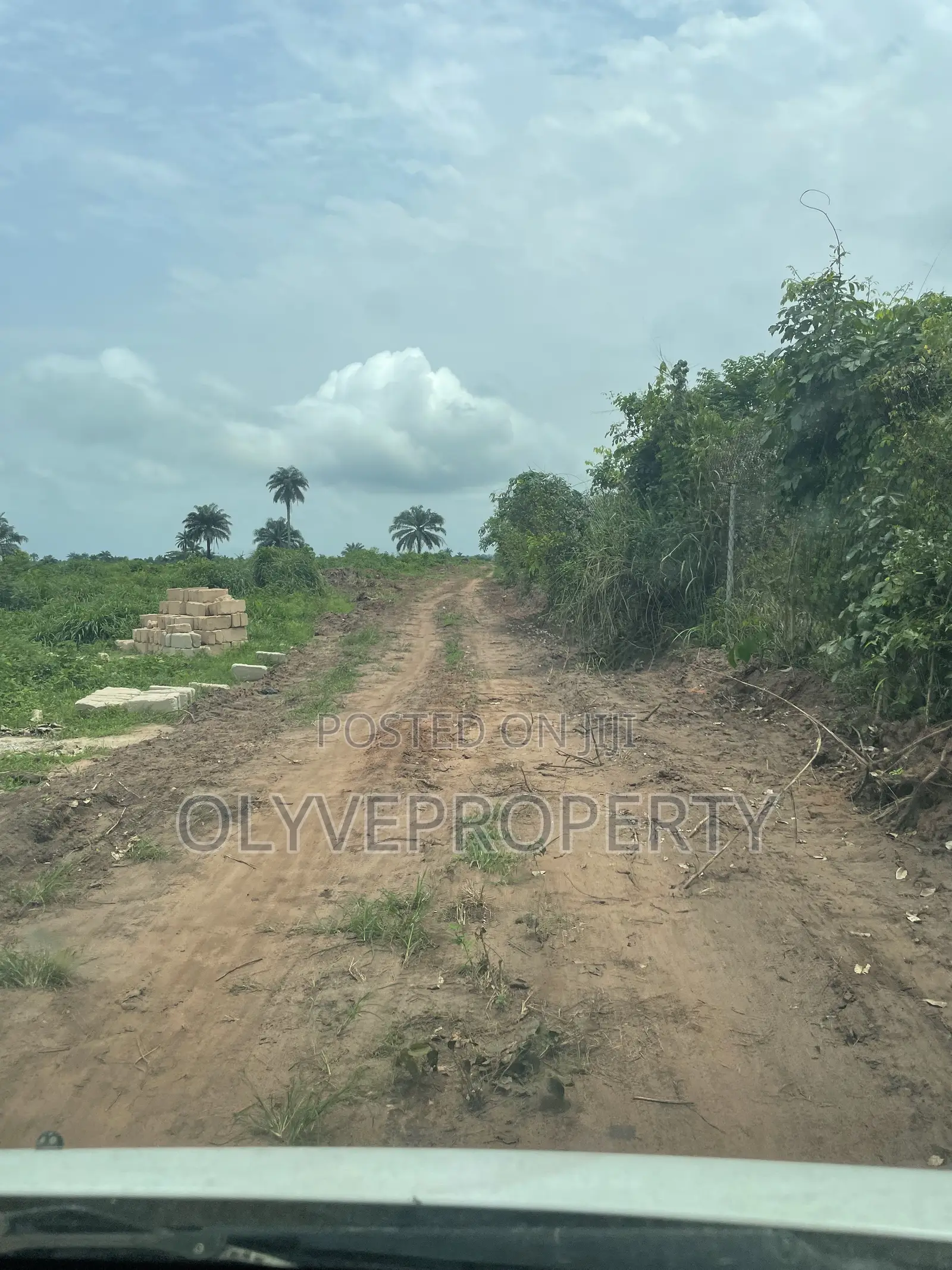 Acres of Farmland for Sale at Onicha  Olona,Delta State
