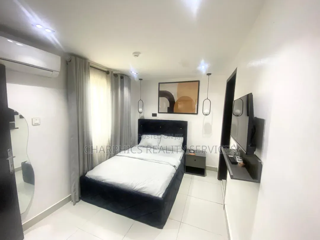 Furnished Studio Apartment in Ikoyi S.W for rent
