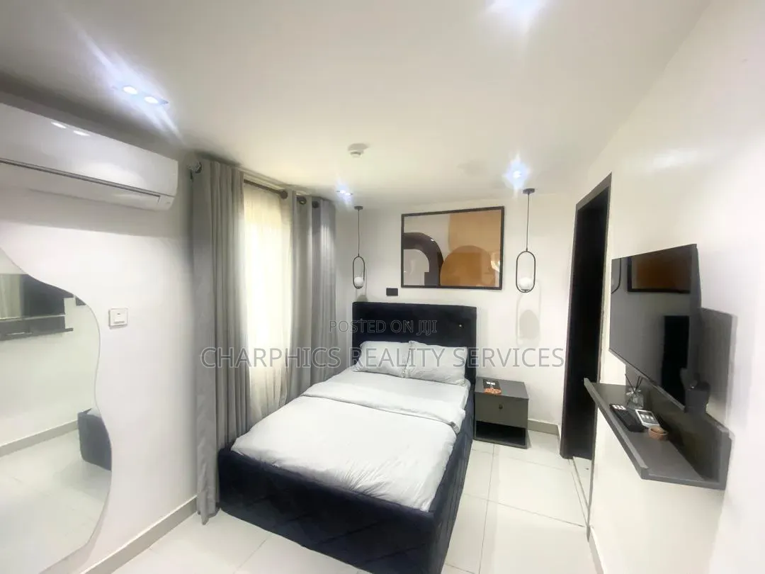 Furnished Studio Apartment in Ikoyi S.W for rent