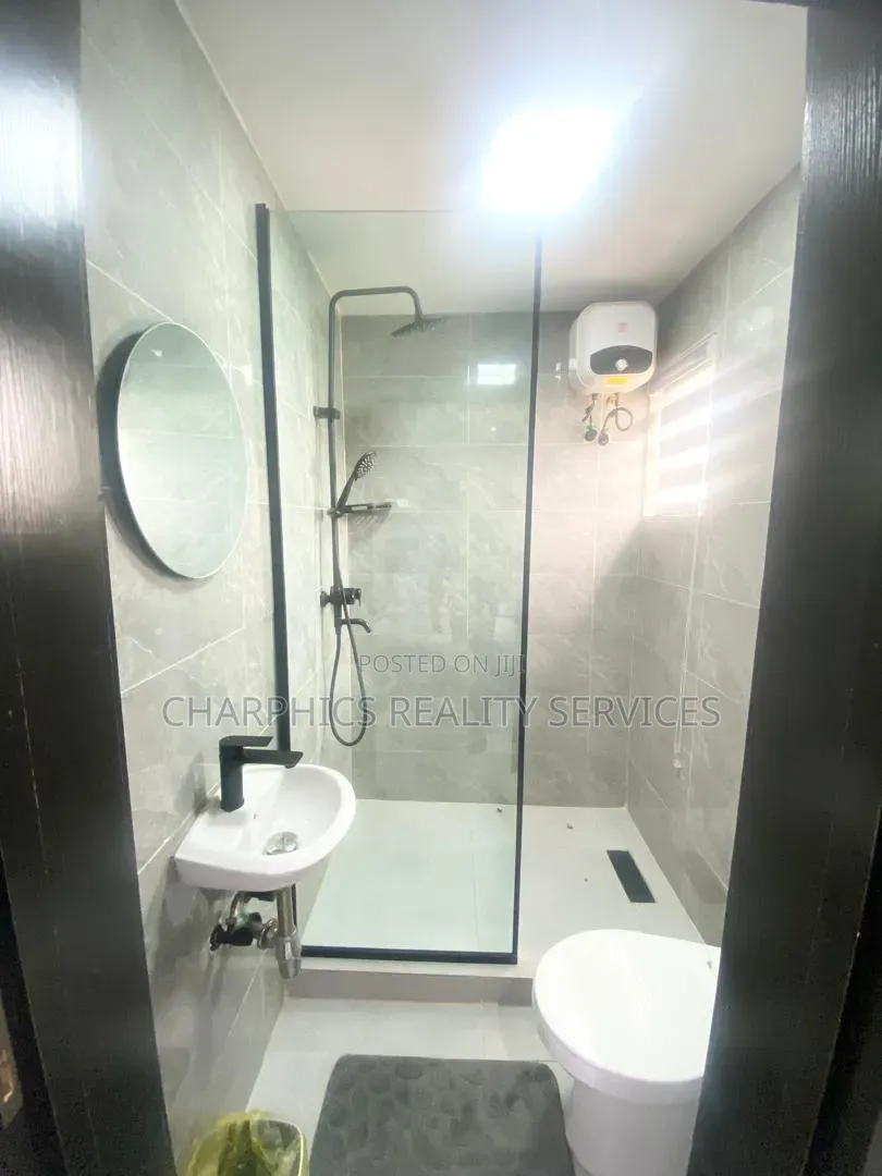 Furnished Studio Apartment in Ikoyi S.W for rent
