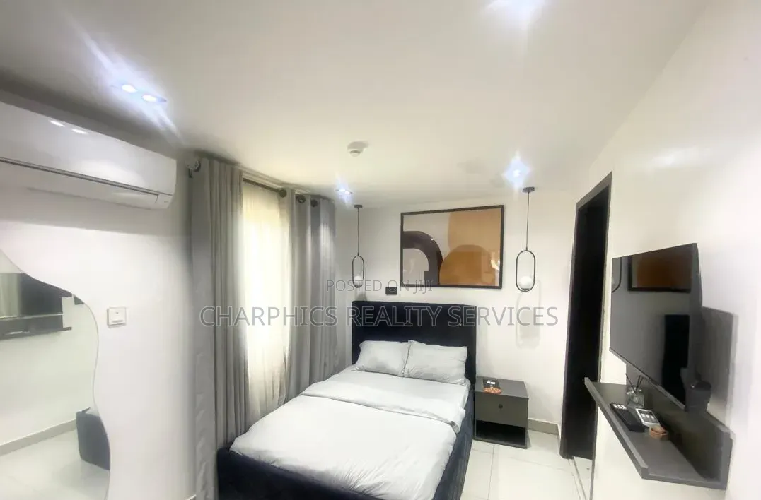 Furnished Studio Apartment in Ikoyi S.W for rent