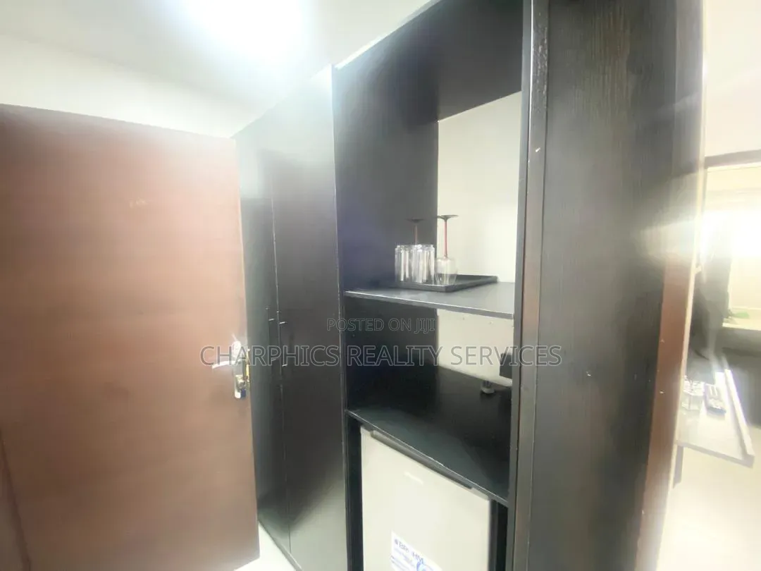 Furnished Mini Flat in Ikoyi S.W for rent