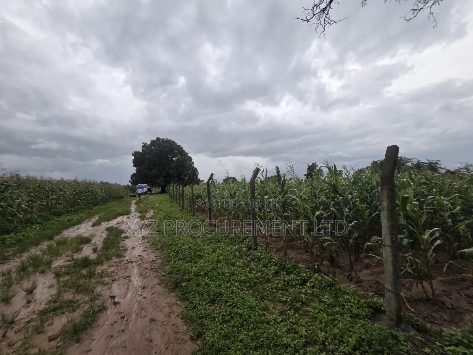 8 Hectares of Industrial Land at Dikko Junction