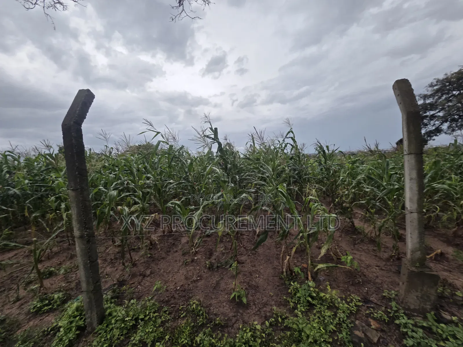 8 Hectares of Industrial Land at Dikko Junction