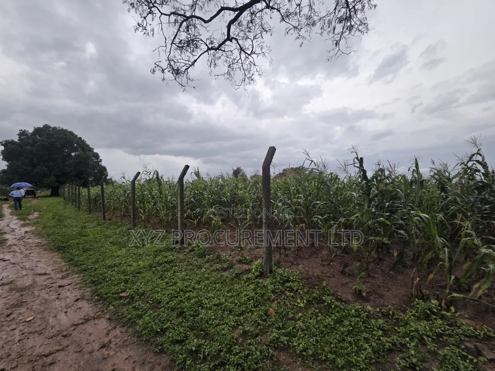 8 Hectares of Industrial Land at Dikko Junction