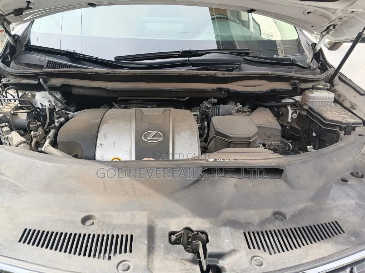 Lexus RX 2022 White