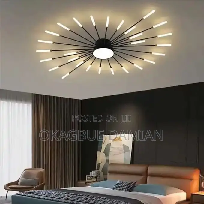 Spring Fireworks Led Ceiling Light (28hands)