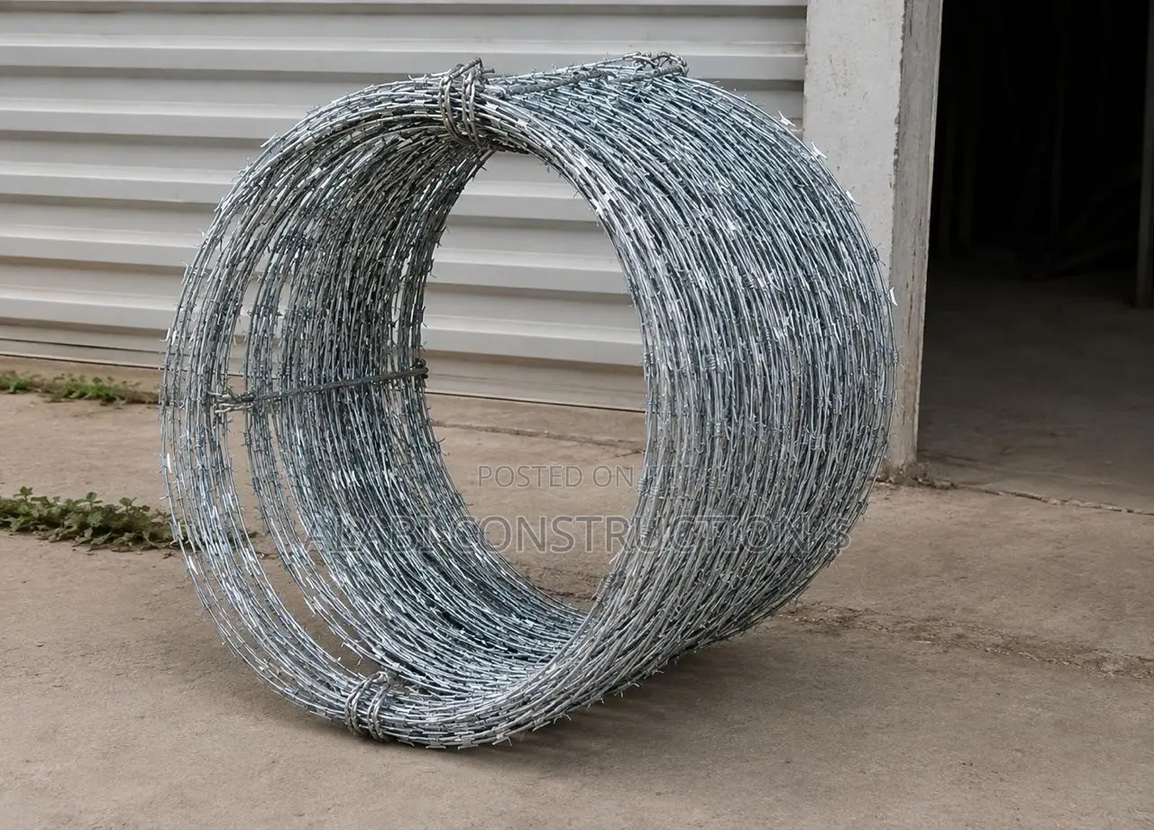 Security Fence Wire /Barbed Razor Wire for Fencing