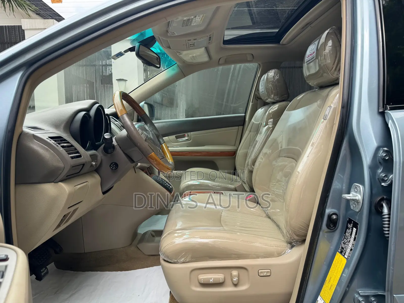 Lexus RX 2008 Blue