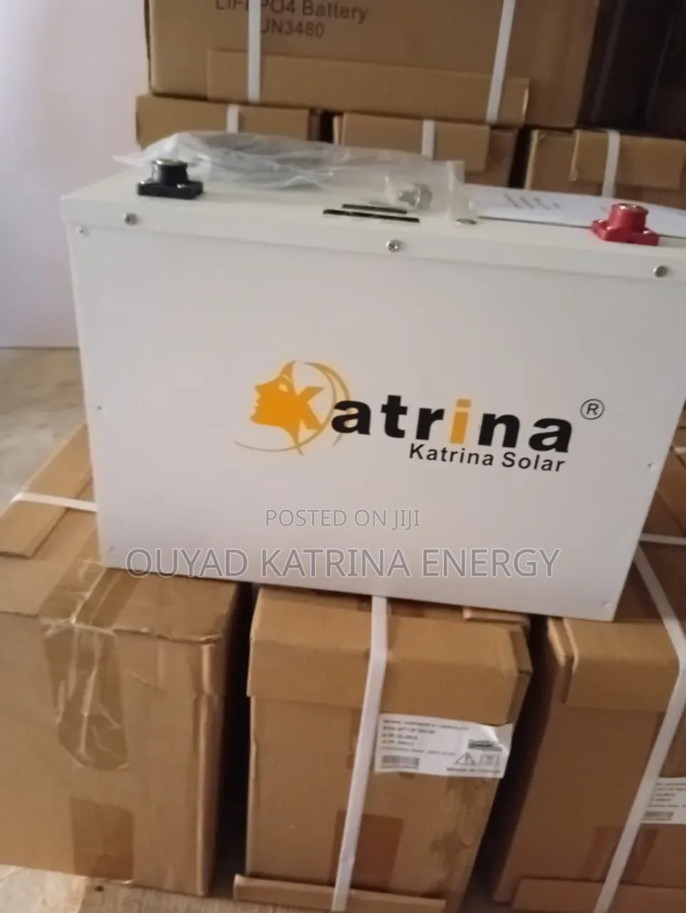 Affordable Lithium Iron Battery