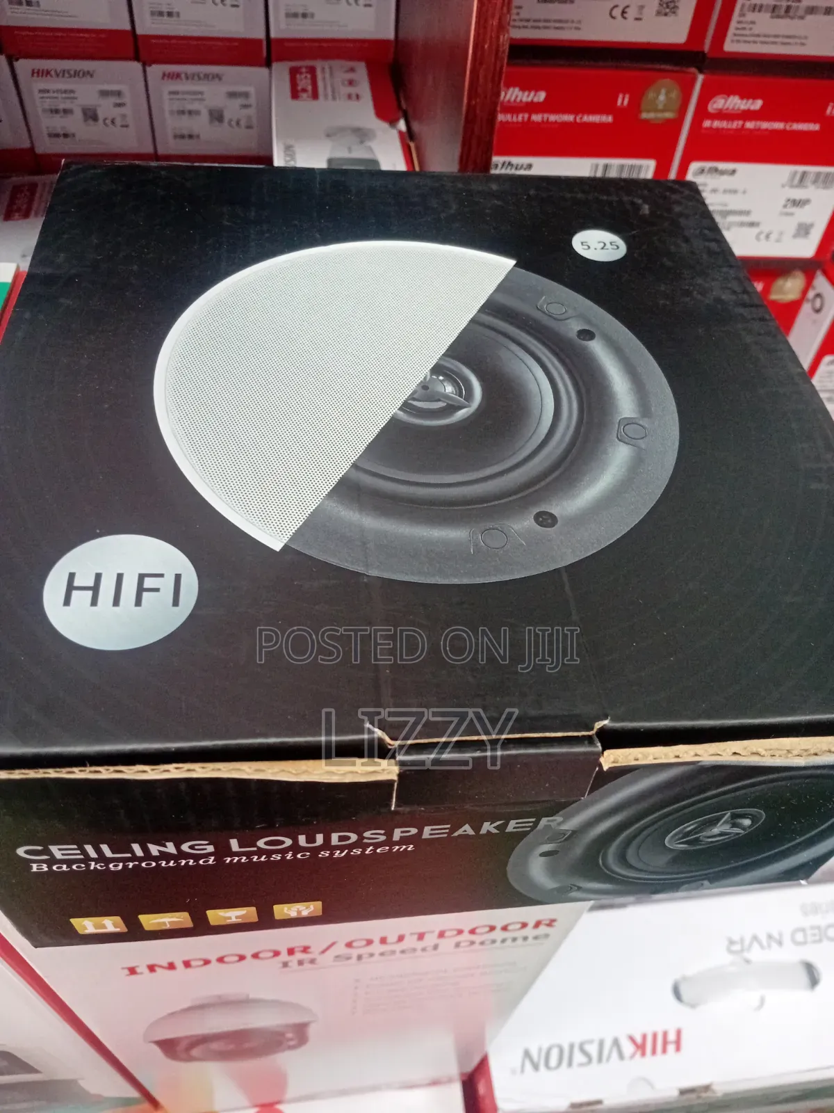 Ceiling Speakers