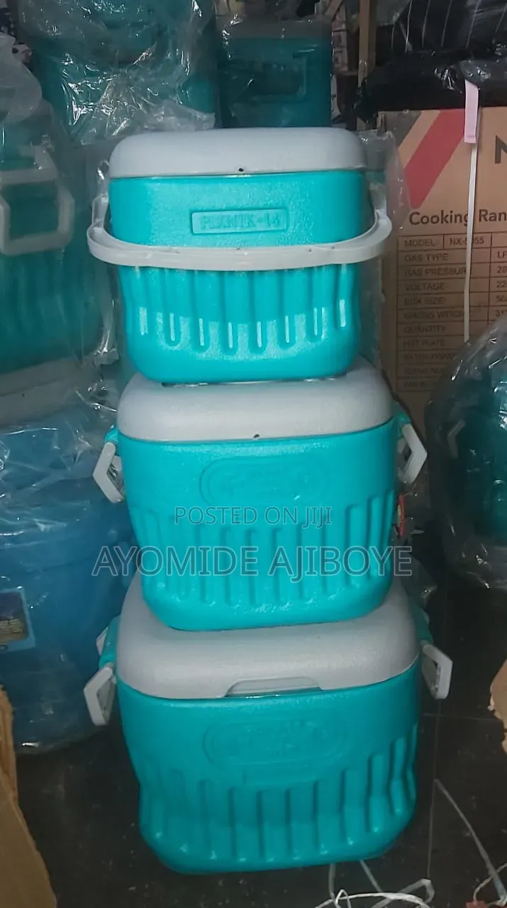 Picnic Cooler