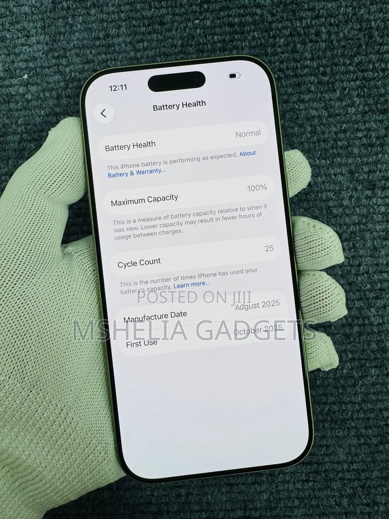 Apple iPhone 17 256 GB