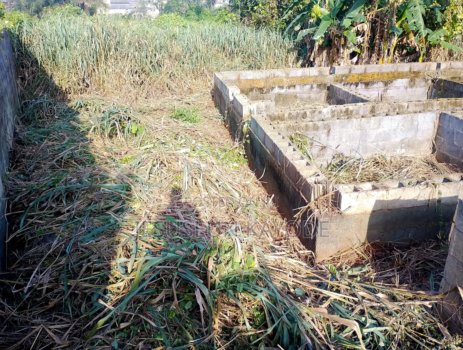 Full Plot of Land With Foundation