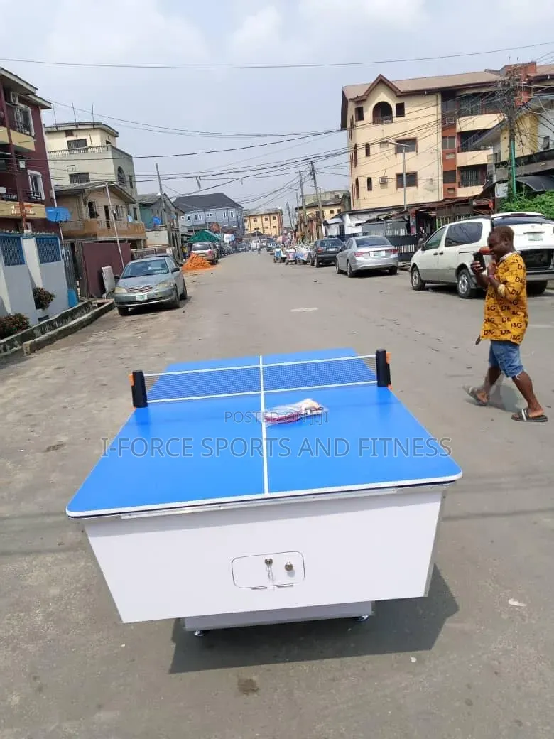 2in1 Snooker and Table Tennis Set