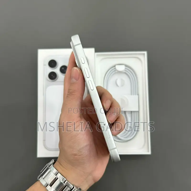 Apple iPhone 17 Pro 256 GB Silver