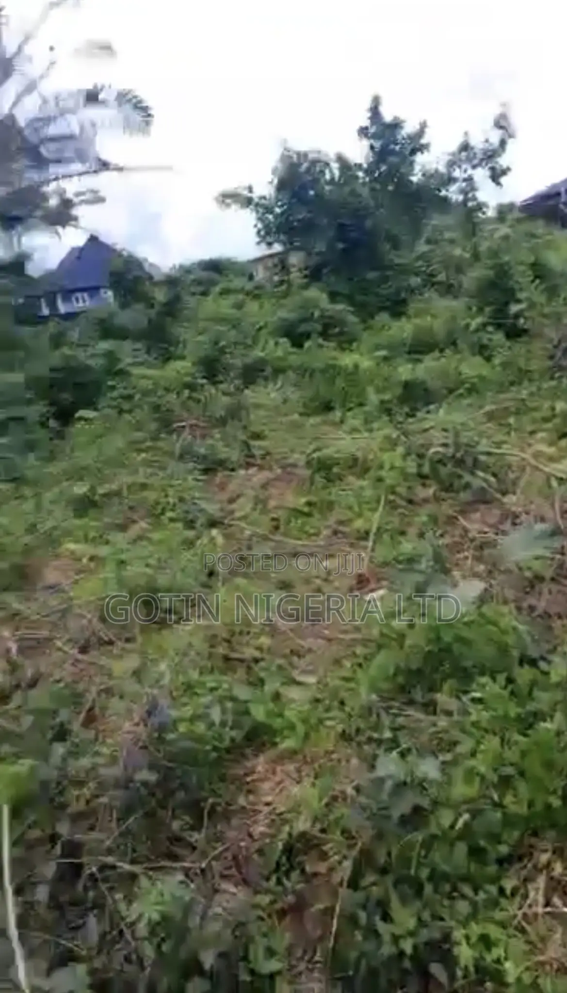 100×100ft Land at Josh Dan School Road, Ogheghe