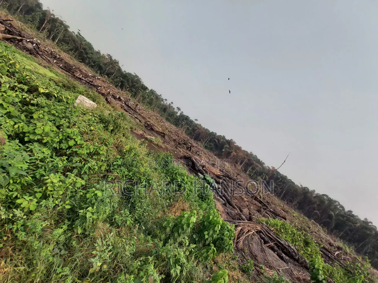 N19m/Acre, Epe, Lagos Facing Express