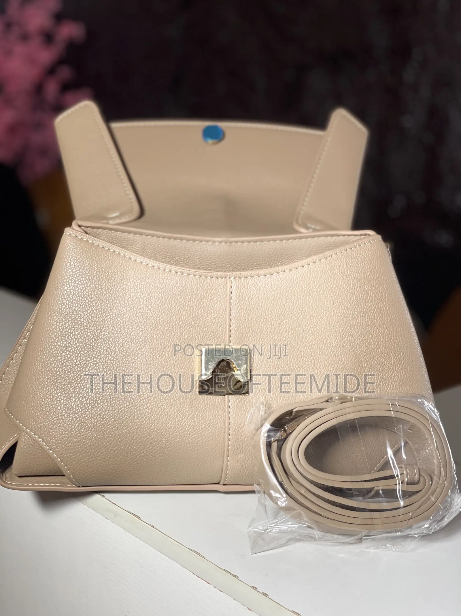 Brown Women’s Bag