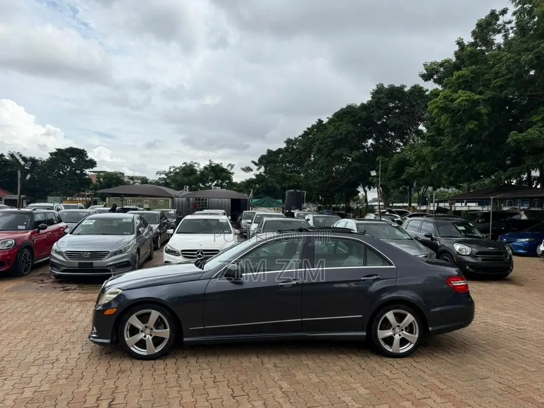 Mercedes-Benz E350 2010 Gray