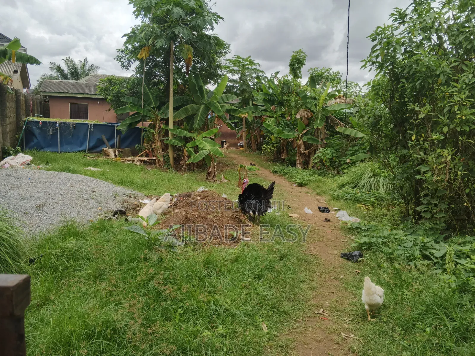 A Plot of Land Fence Gated Compound