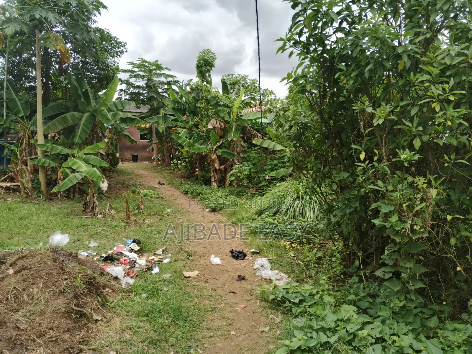 A Plot of Land Fence Gated Compound