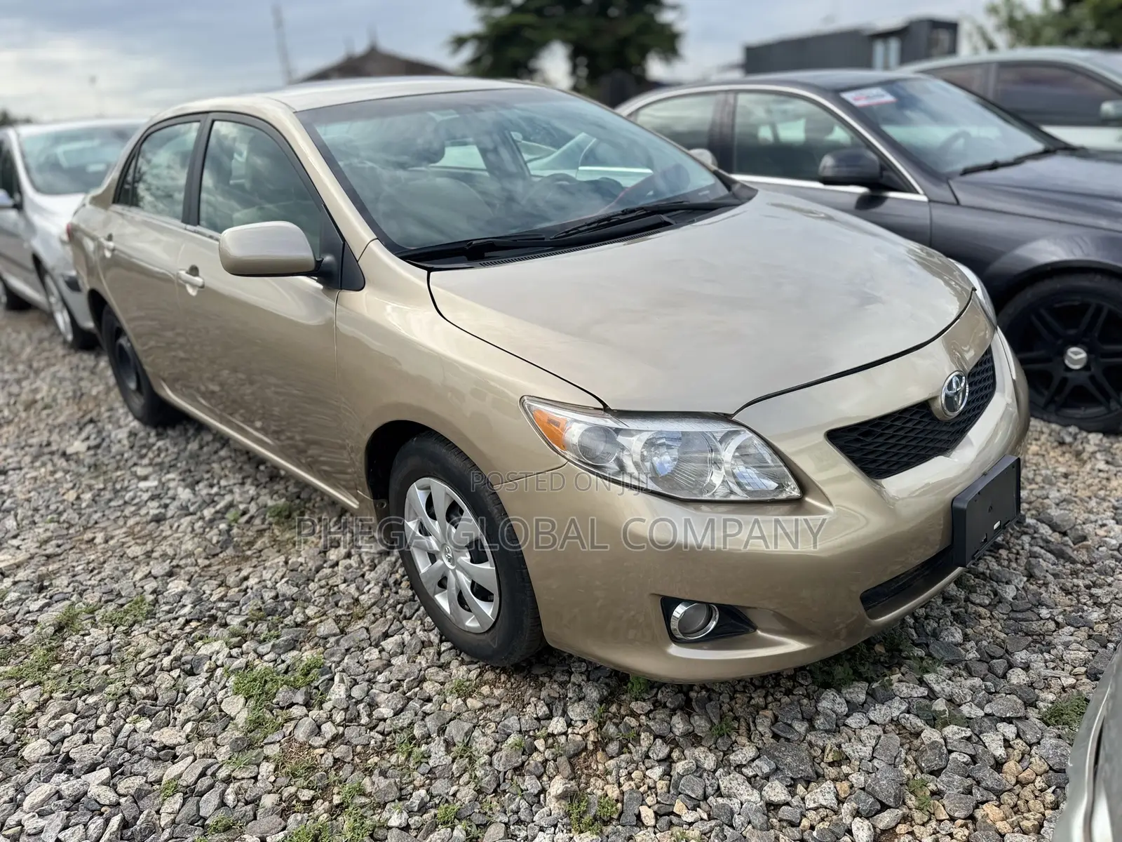 Toyota Corolla 2009 Gold
