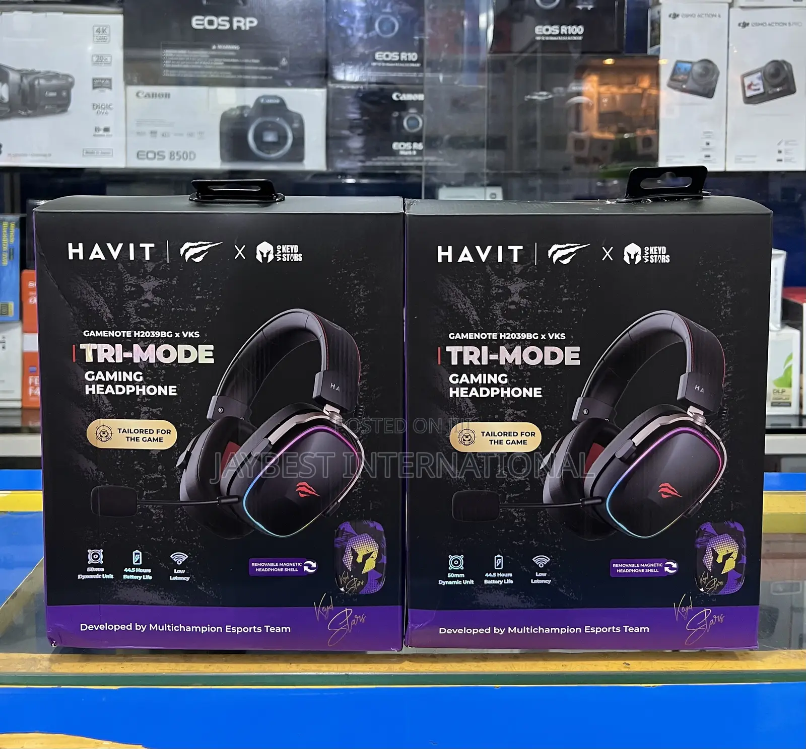 Havit Gamenote H2039BG Wireless Gaming Headset