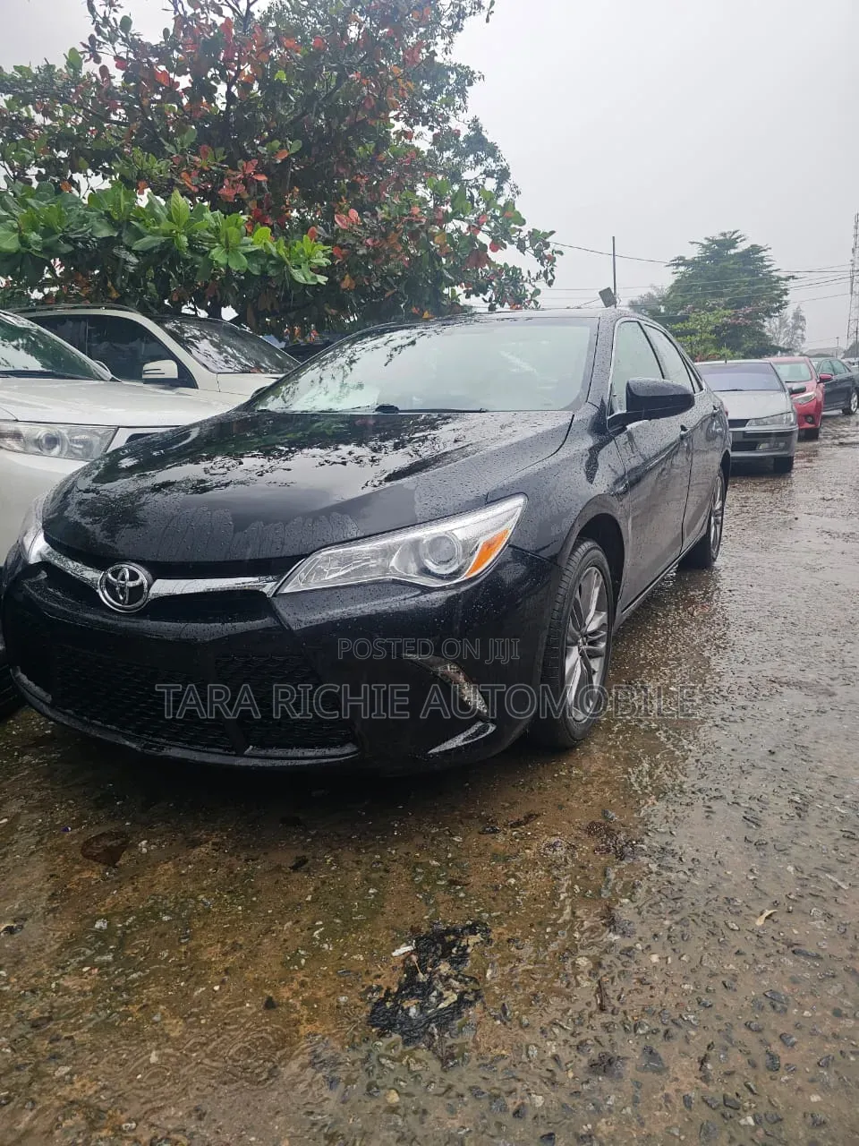 Toyota Camry SE 4dr Sedan (2.5L 4cyl 6A) 2016 Black