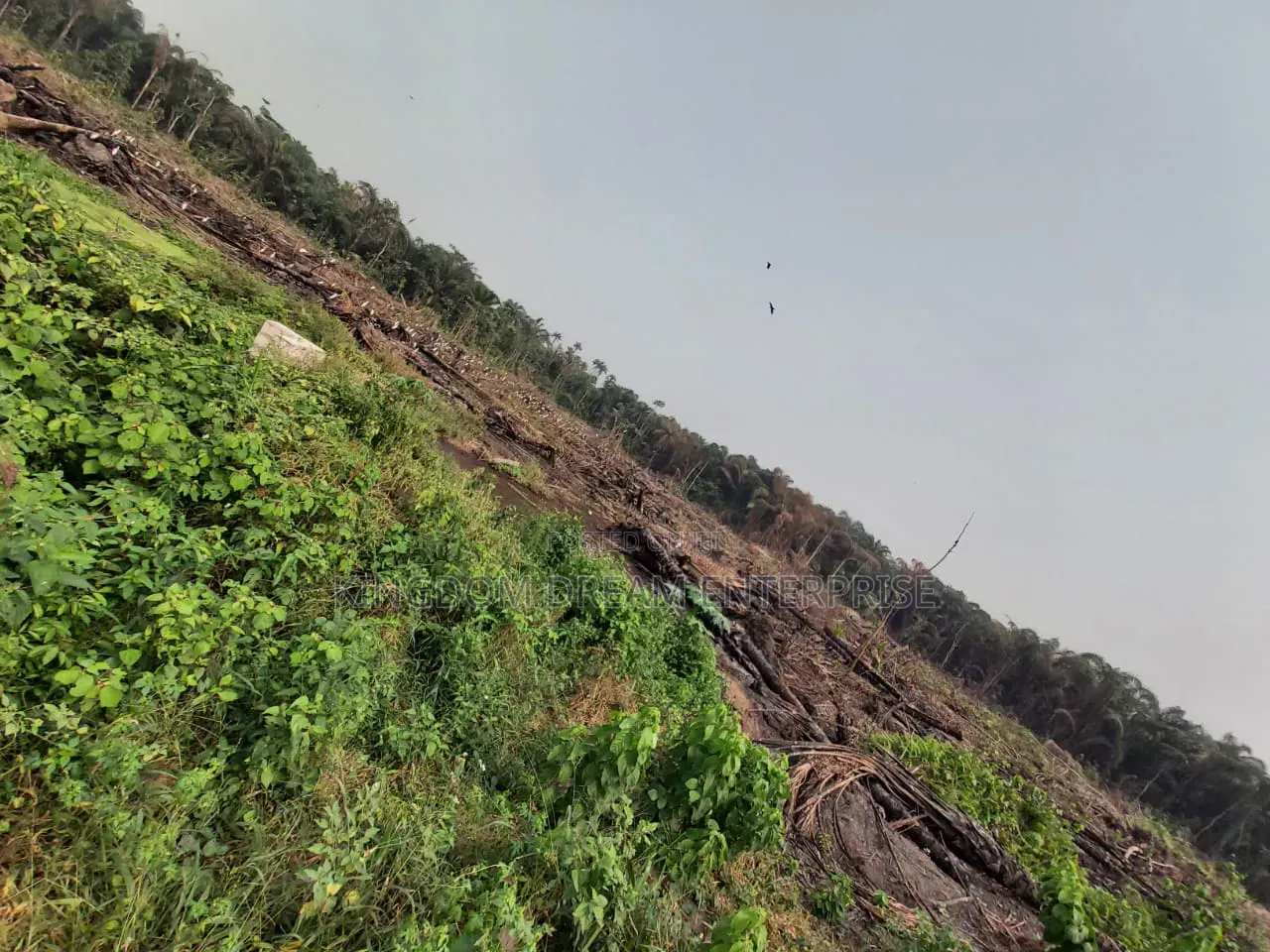 40 Acres of Land  Available for Sale at Ketu-Epe  Biggest Market