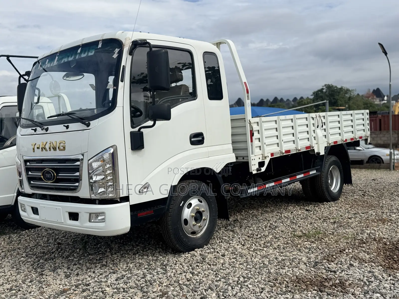 T-King Trucks 2025 White