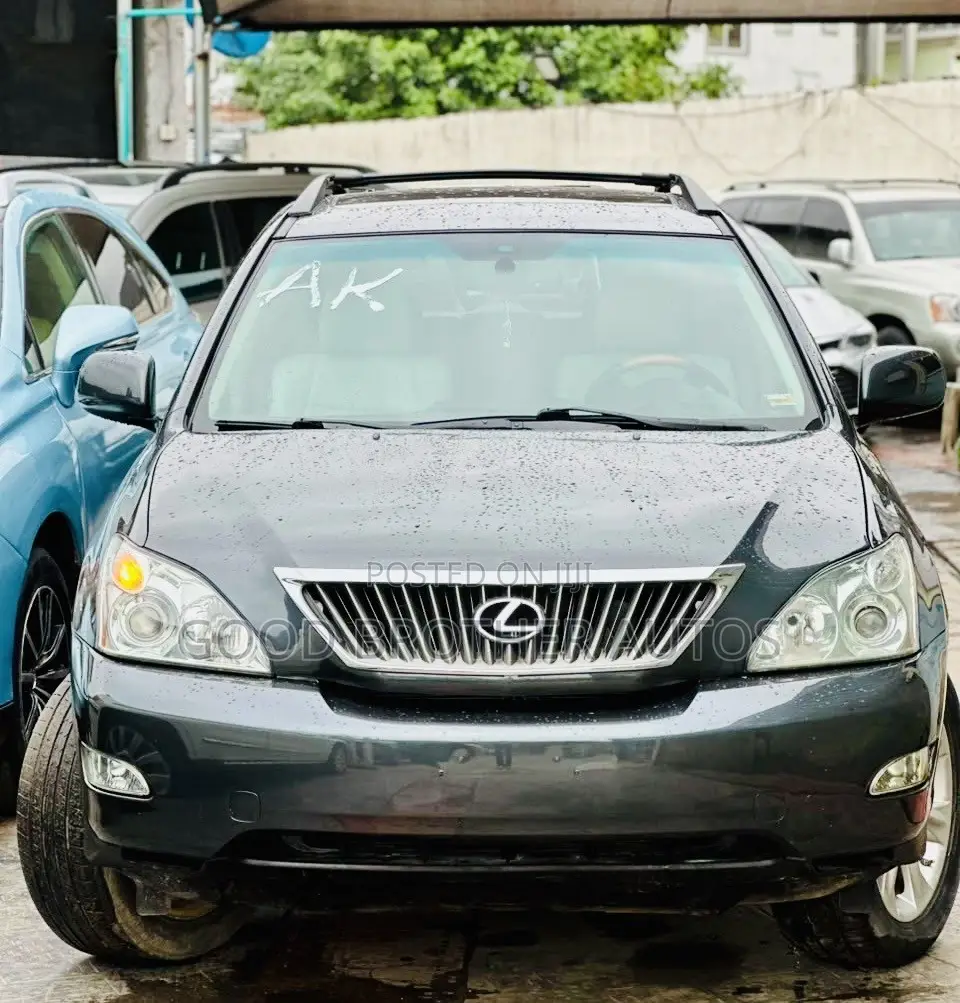 Lexus RX 350 AWD 2009 Gray