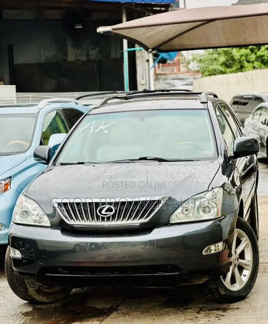 Lexus RX 350 AWD 2009 Gray