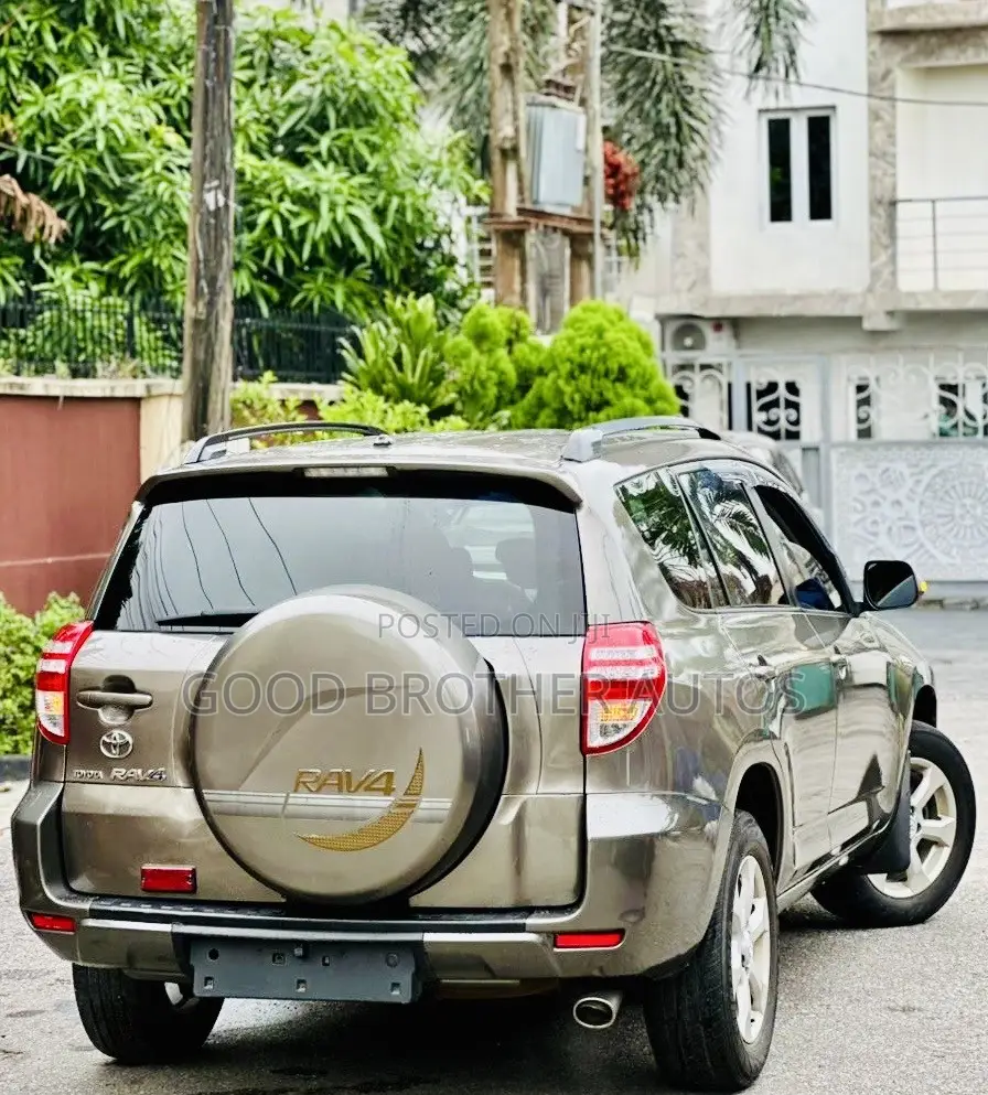 Toyota RAV4 2010 Brown