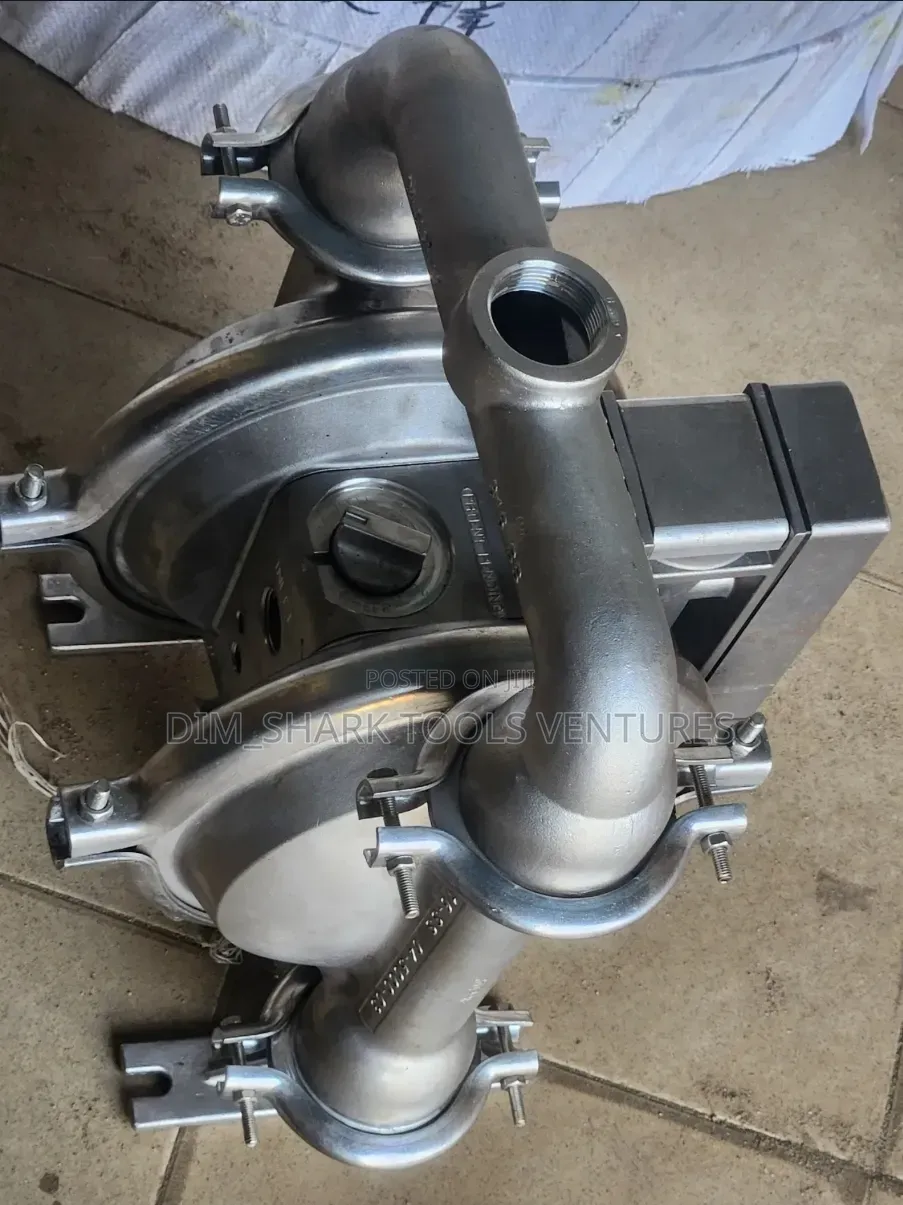 Wilden Stainless Steel Air-Operated Double-Diaphragm Transfer Pump(M4)