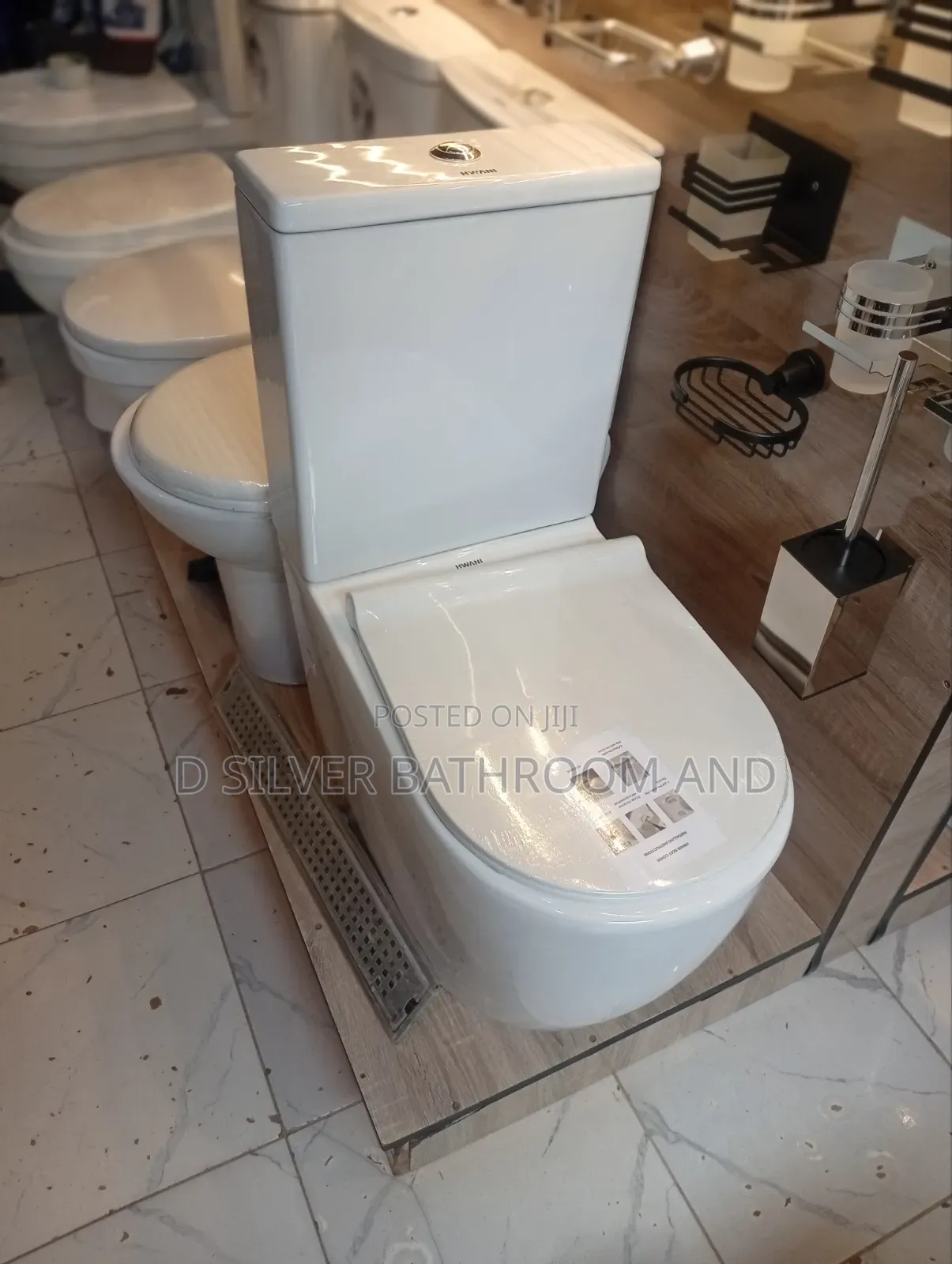 Back-to-Wall Executive Water Closet Toilet Set