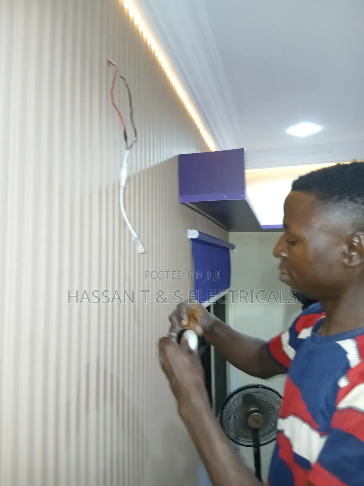 Professional Electrician