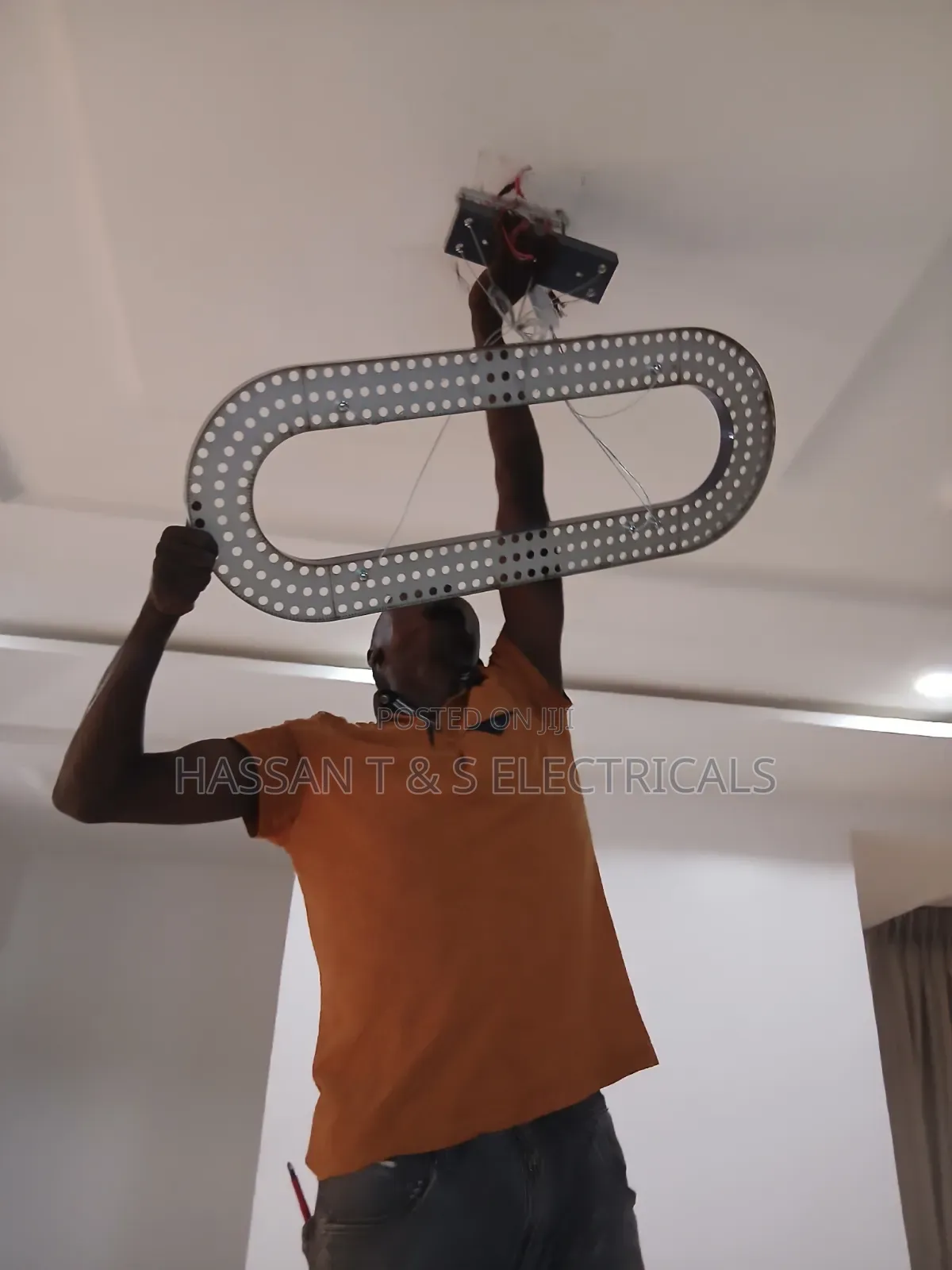 Professional Electrician