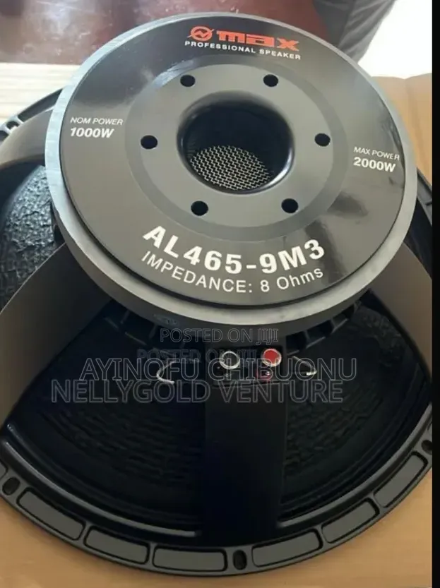 15 Inches O Max Speaker