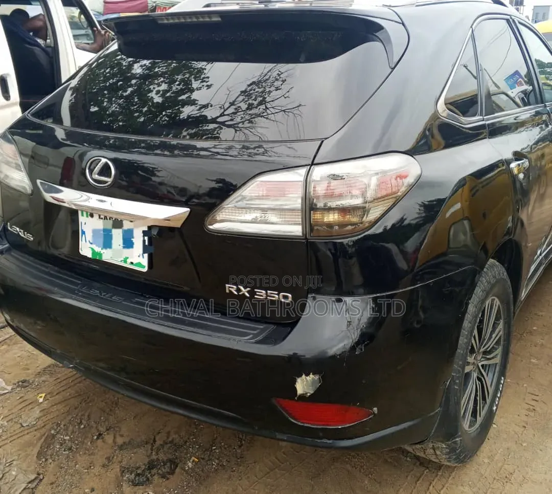 Lexus RX 350 2010 Gray