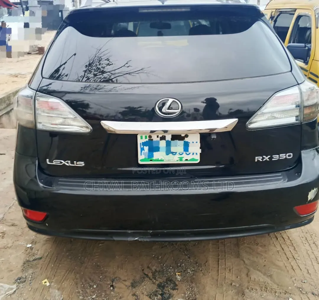 Lexus RX 350 2010 Gray
