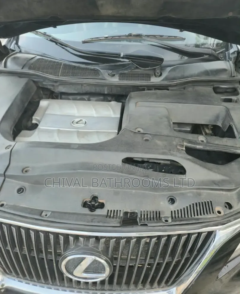 Lexus RX 350 2010 Gray