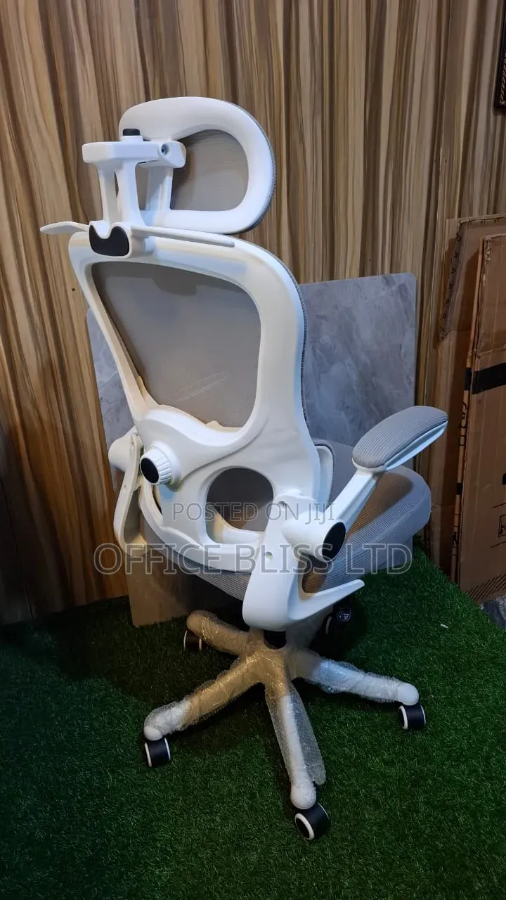 Modern  Home Office  Egornomic Swivel Chair With Lumbar Support - Gray
