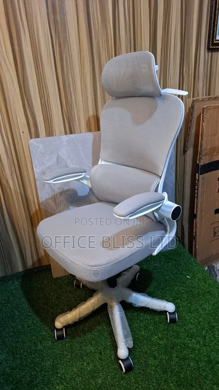 Modern  Home Office  Egornomic Swivel Chair With Lumbar Support - Gray