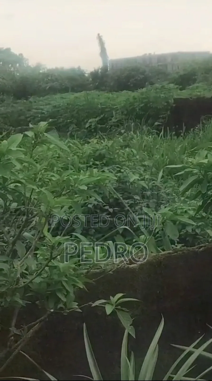 Land for Sale at Airport Road by Obirikwere