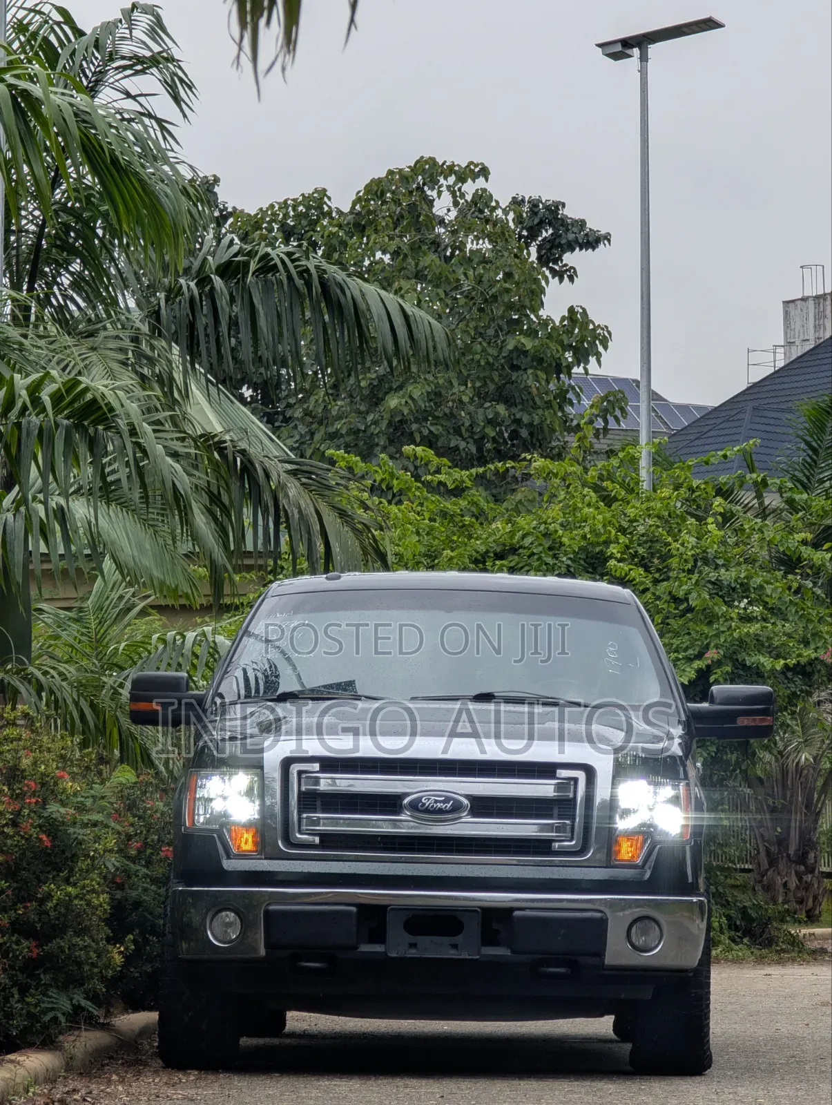 Ford F-150 2014 Green